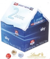 Adventskalender in Hausform