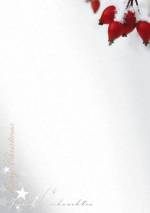 PC-Weihnachtsbrief &raquo;Hagebutten&laquo;, 210x297mm