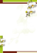 PC-Brief Exclusiv - Wei&szlig;e Orchideen Lackfolienpr&auml;gung - neutral