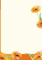 PC-Brief Brillant - gemalte Gerbera - neutral