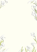 PC-Brief Premium - gepr&auml;gte Calla - neutral