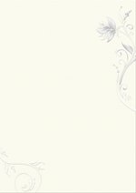 PC-Brief Premium - modernes Design - neutral