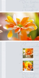 PC-Karte Exclusiv - Fotomotiv und Schrift - Die besten W&uuml;nsche - Format 10,5 x 21 cm