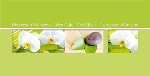 PC-Karte Exclusiv - Orchideen - Die besten W&uuml;nsche Alles Gute Viel Gl&uuml;ck