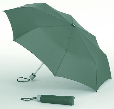 Taschenschirm &raquo;Jet&laquo; gr&uuml;n