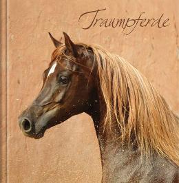 Geschenk-MINI-buch &raquo;Traumpferde&laquo;, 115x115 mm, Titel