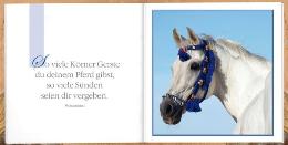 Geschenk-MINI-buch &raquo;Traumpferde&laquo;, 165x165 mm, Beispiel Doppel-Innenseite