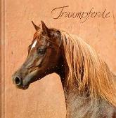 Geschenkbuch &raquo;Traumpferde&laquo;, 115x115 mm, Titel