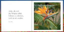 Geschenk-MINI-buch &raquo;F&uuml;r Dich!&laquo;, 165x165 mm, Beispiel Doppel-Innenseite