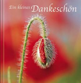 Geschenk-MINI-buch &raquo;Ein kleines Dankesch&ouml;n&laquo;, 115x115 mm, Titel