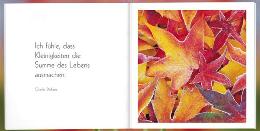 Geschenk-MINI-buch &raquo;Ein kleines Dankesch&ouml;n&laquo;, 165x165 mm, Beispiel Doppel-Innenseite