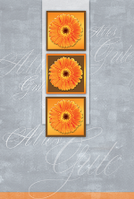 Gl&uuml;ckwunschkarte &raquo;Gerbera&laquo;, 115x170 mm