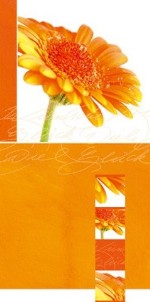 Osterkarte &raquo;Gerbera&laquo;, 105x210 mm