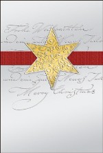 Weihnachtskarte &raquo;Silber mit Stern und rotem Band&laquo;, 115x170mm