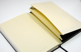 Notizbuch &raquo;Professional-Line&laquo;, doppelte Dokumententasche am Buchende