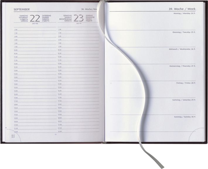 Tagesbuchkalender &raquo;Delta-732&laquo;, 8sprachig, 145x205 mm, 1farbig grau