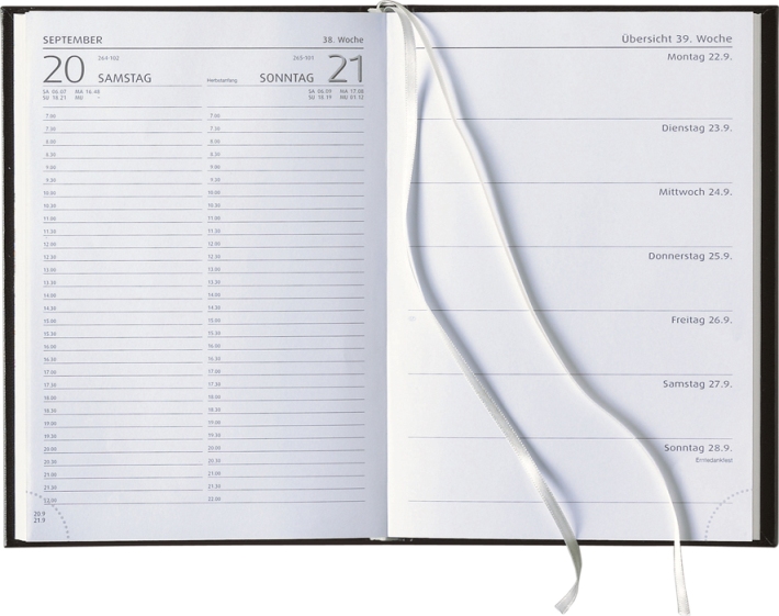 Tagesbuchkalender &raquo;Delta-733&laquo;, deutsch, 145x205 mm, 1farbig grau