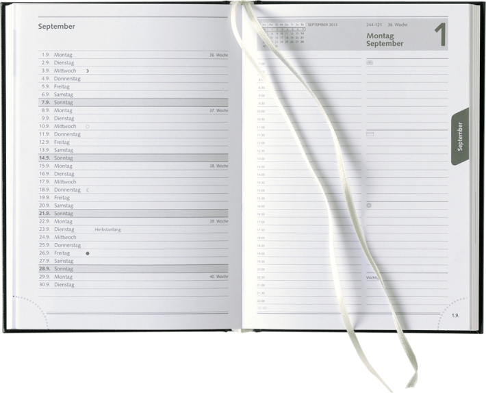 Tagesbuchkalender &raquo;Delta-734&laquo;, deutsh, 145x205 mm 1farbig grau