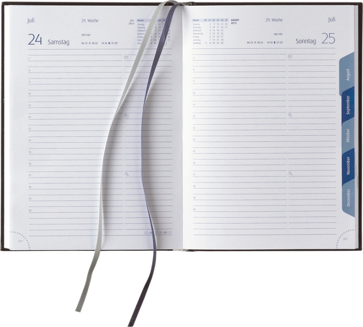 Tagesbuchkalender &raquo;Synergie-738&laquo;, deutsch, 145x205 mm, blau/blau, Registerstanzung