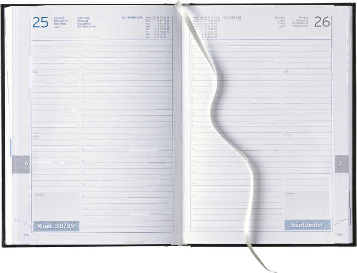 Tagesbuchkalender &raquo;Club-846&laquo;, 8sprachig, grau/blau, 145x205 mm
