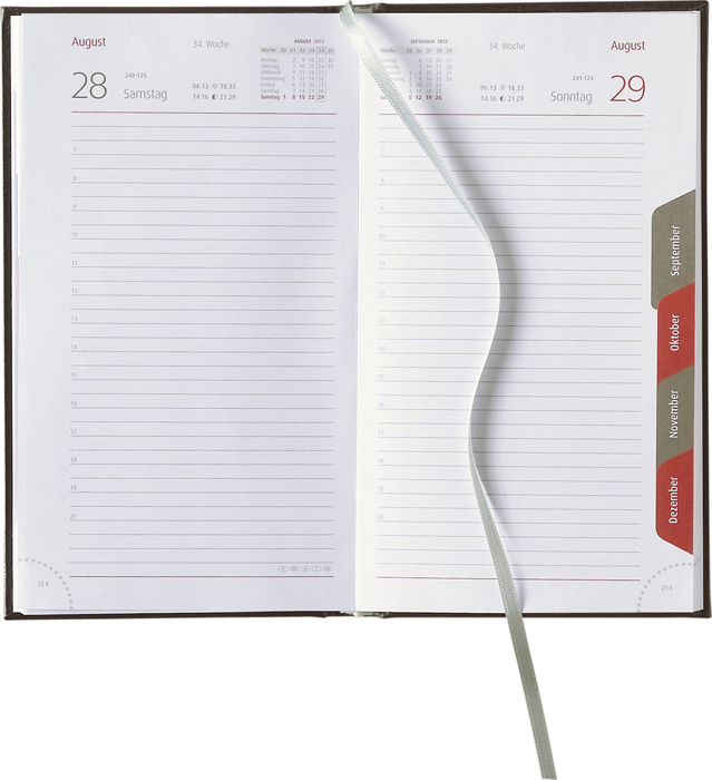 Tagesbuchkalender &raquo;Reisetagebuch&laquo;, deutsch, grau/burgund, 105x188 mm, Registerstanzung