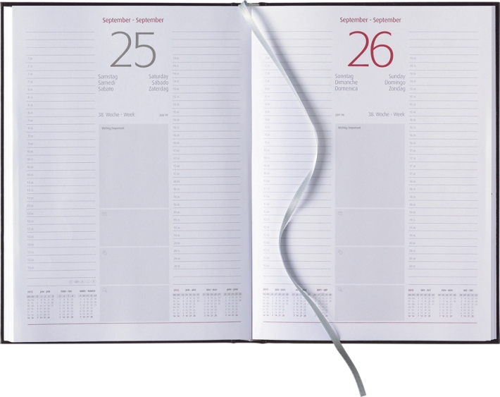 Tagesbuchkalender &raquo;Orga-Timer&laquo;, 6sprachig, grau/burgund, 172x240 mm