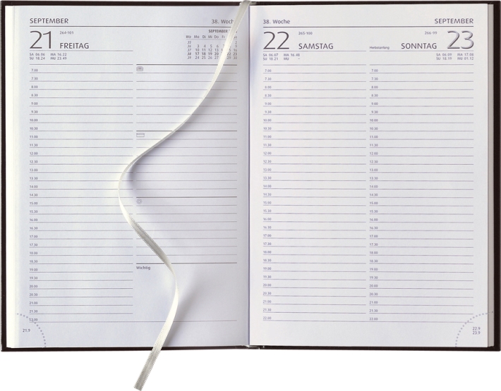 Tagesbuchkalender &raquo;Delta-891&laquo;, deutsch, 1farbig grau, 145x245 mm, Sa/So 1 Seite
