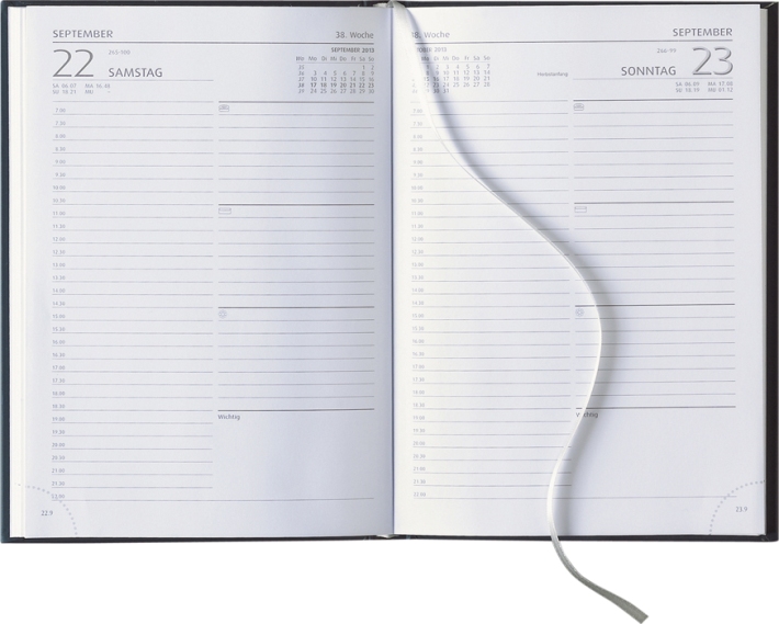 Tagesbuchkalender &raquo;Delta-892&laquo;, deutsch, 1farbig gau, 145x205 mm