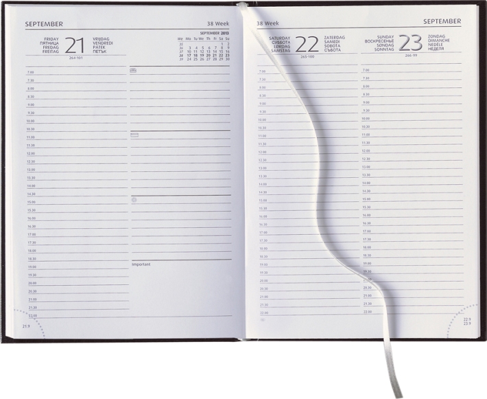 Tagesbuchkalender &raquo;Delta-894&laquo;, 8sprachig, 1farbig grau, Sa/So 1 Seite
