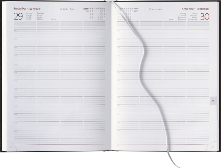 Tagesbuchkalender &raquo;Praxis-Timer&laquo;, 8sprachig, grau/burgund, 210x297 mm