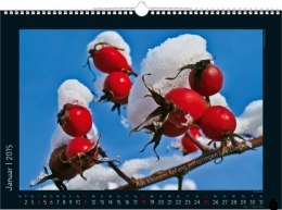 Bildkalender &raquo;Stille Momente&laquo;, 440x360 mm, Januar
