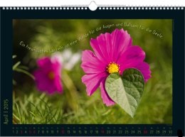 Bildkalender &raquo;Stille Momente&laquo;, 440x360 mm, April