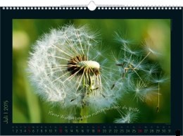 Bildkalender &raquo;Stille Momente&laquo;, 440x360 mm, Juli