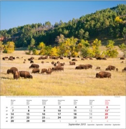 Bildkalender &raquo;Traumreise&laquo;, 325x390 mm, September