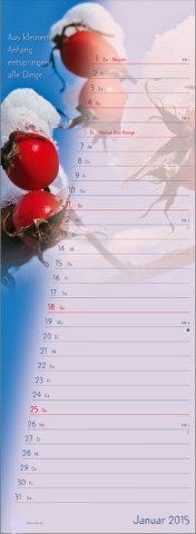 Streifenkalender &raquo;Stille Momente&laquo;, 155x485 mm, Januar